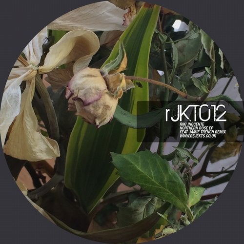 Riki Inocente - Mood 5 - Original Mix